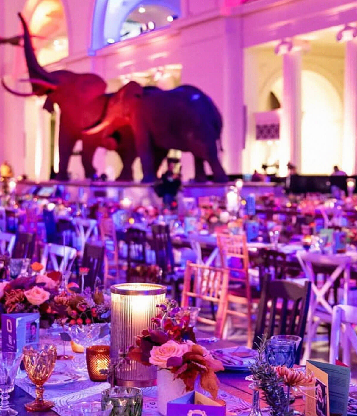 Catering by Levy - Homepage Image Seven - mobile version